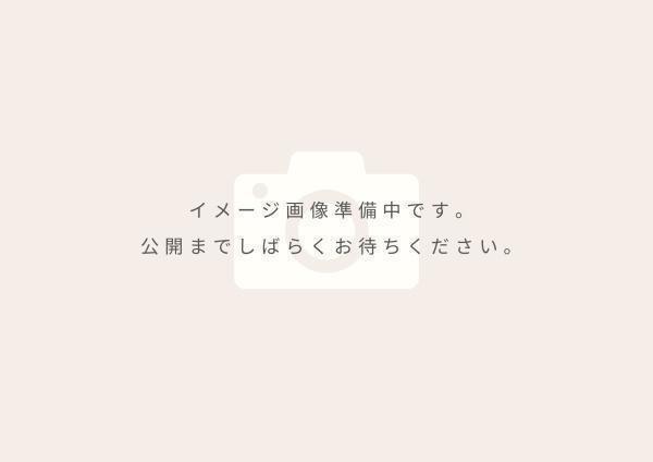 ロイヤルステージ国屋町