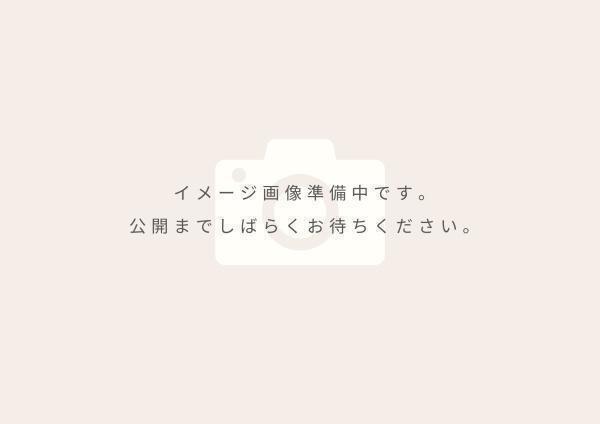 ロイヤルステージ国屋町
