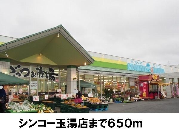 エヴァグリーンA(シンコー玉湯)