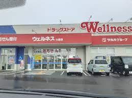 大庭居抜きテナント(ドラッグストアウェルネス大庭店)