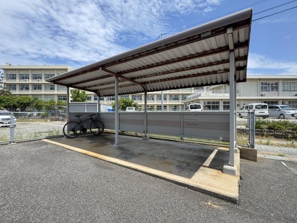 アムール・エス