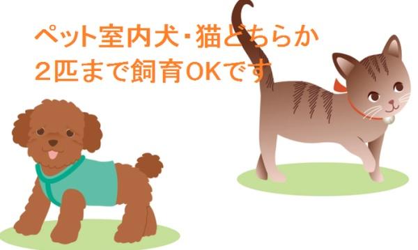 エストレーヤ