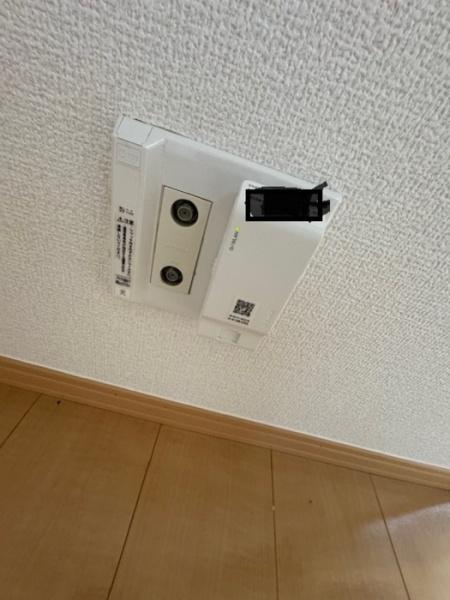 コージーコート