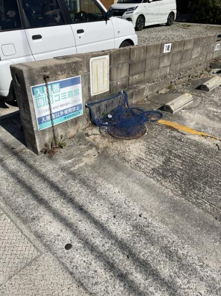 ニュー物部