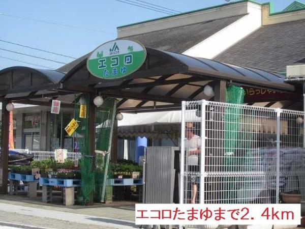 ドルチェ　２