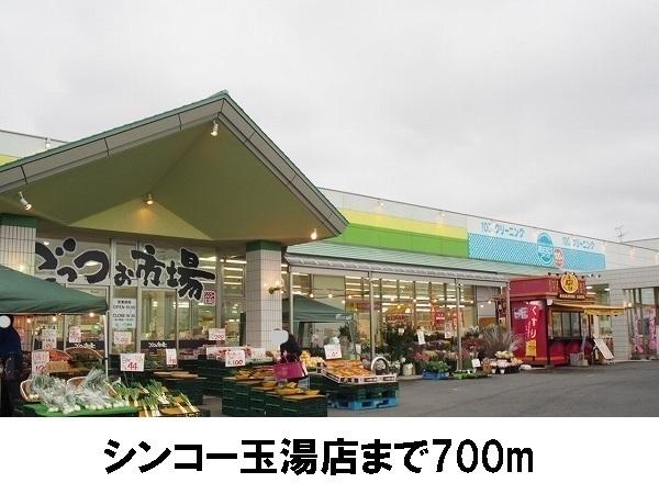 エヴァグリーンD(シンコー玉湯店)