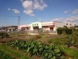 松江市東出雲町揖屋のアパート(ホック)