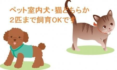 松江市古志原４丁目のアパート
