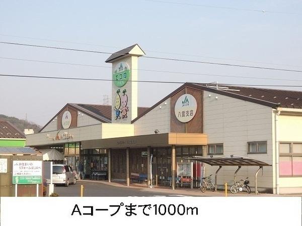 レイク ルイーズ B(Aコープやくも店)