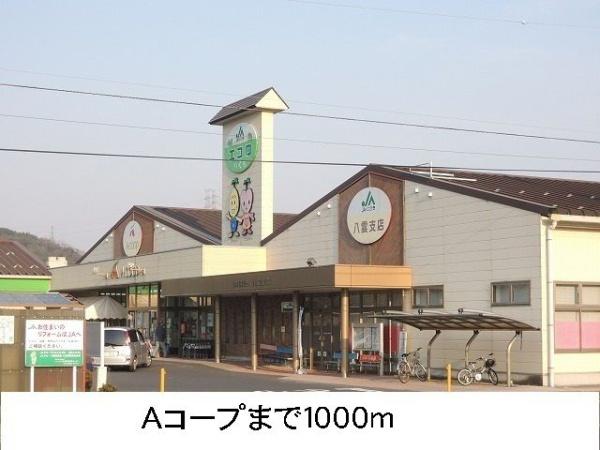 レイク　ルイーズ　Ｂ