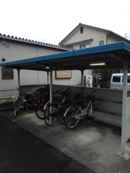 オーブリーヒキノA