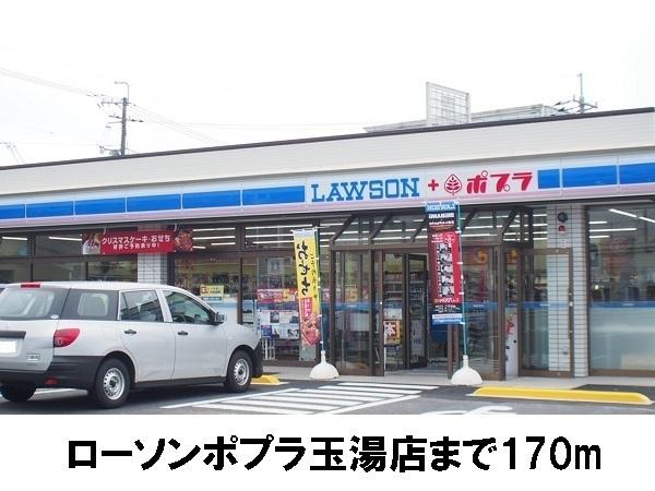 エヴァグリーンC(ローソン)