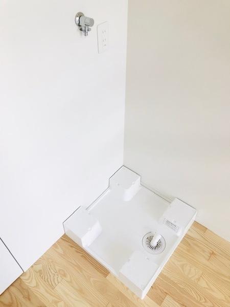 サニーグレイス
