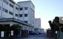 リアン(松江市立乃木小学校)
