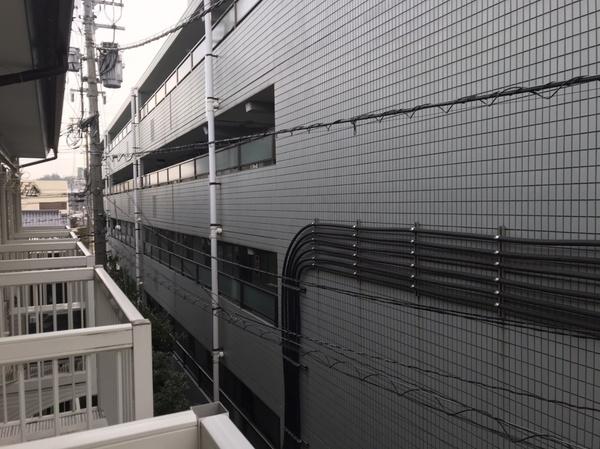 フラットカーサ