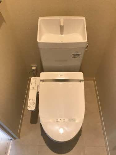 アルコイリース