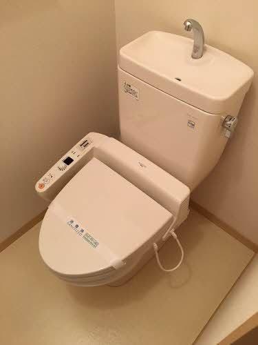 ルピナスＫ
