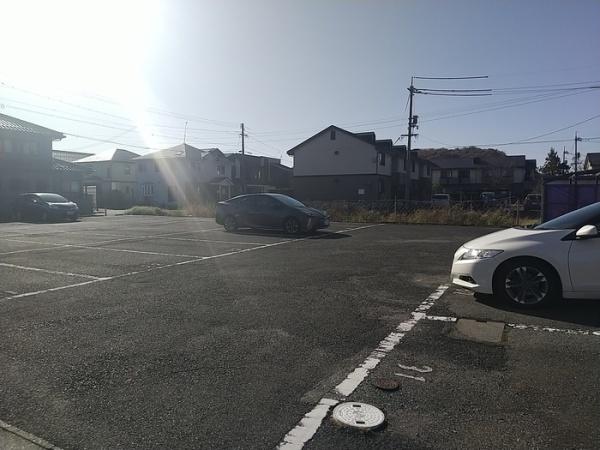 チェリーブロッサム