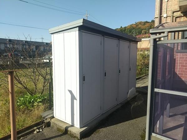チェリーブロッサム