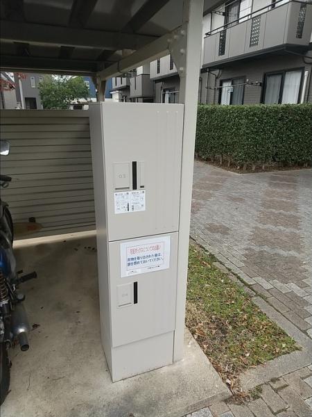 セジュールラピス