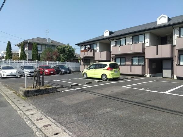ハイカムールアダチ