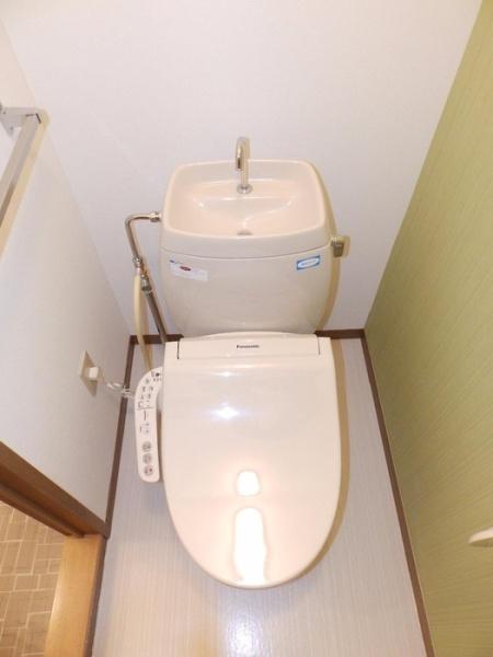 ハイカムールアダチ