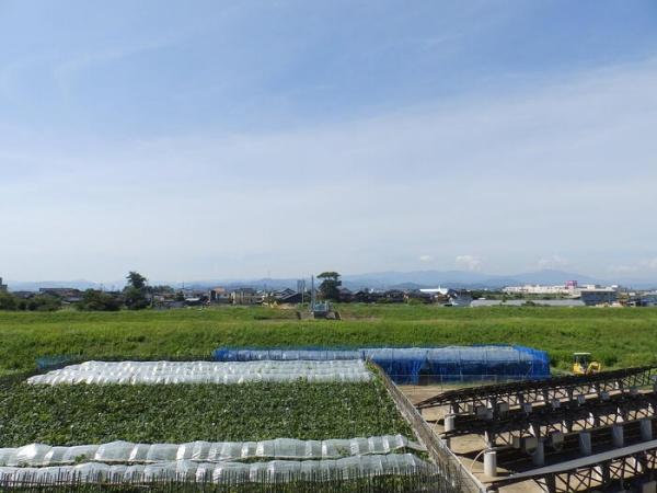 鳥取市浜坂４丁目のアパート