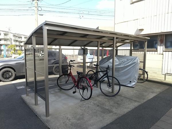 アイビー