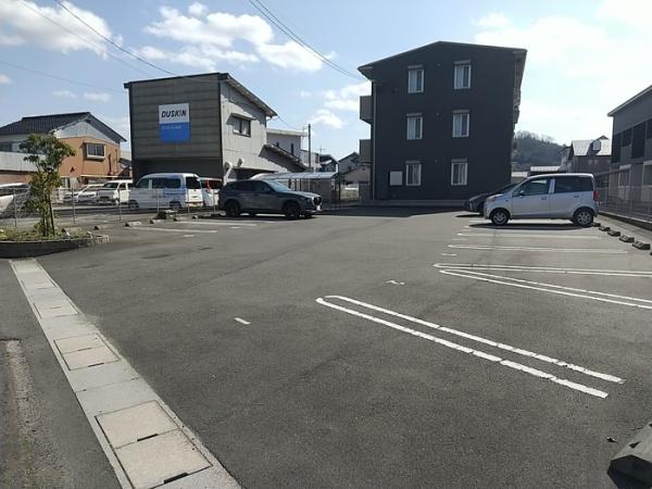 アイビー