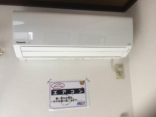 エバーグリーン