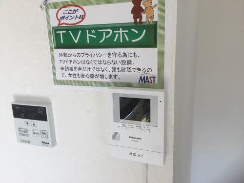 エバーグリーン