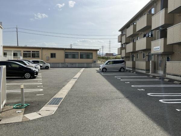 Kikumomo
