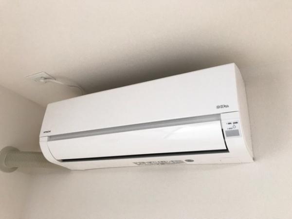 フリージア