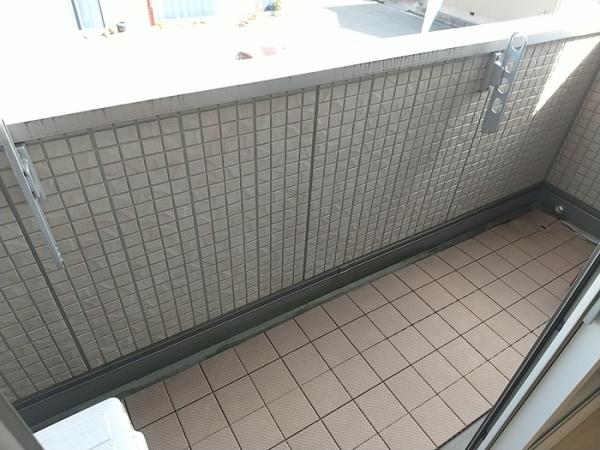 アイビー