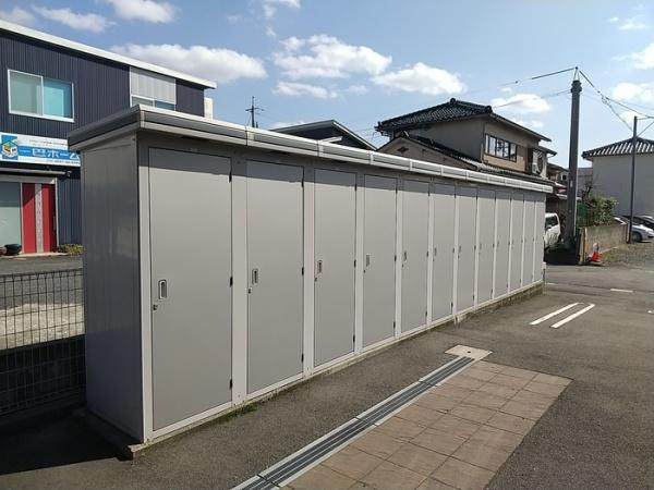 アイビー