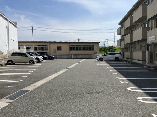 Kikumomo