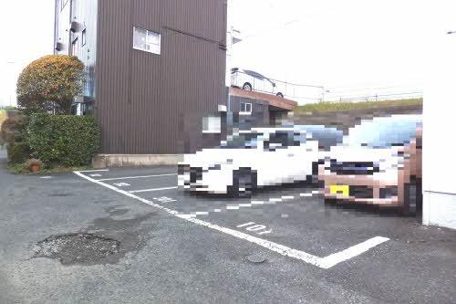 セトル新