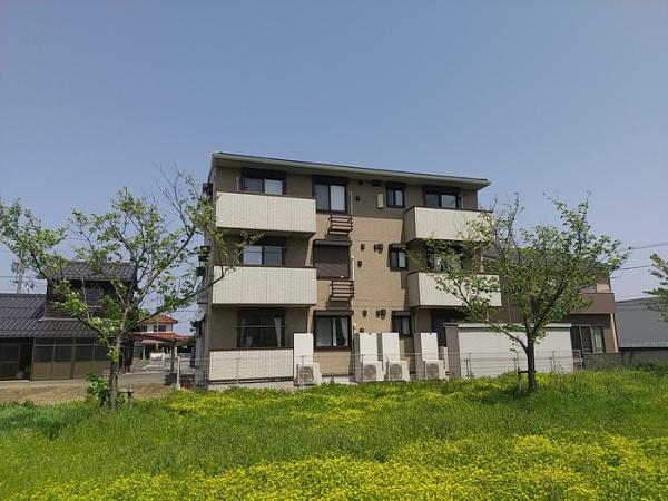 シャムロック