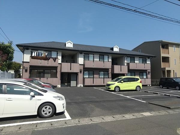 ハイカムールアダチ
