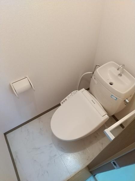 ハイカムールアダチ
