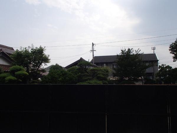 セレッソ