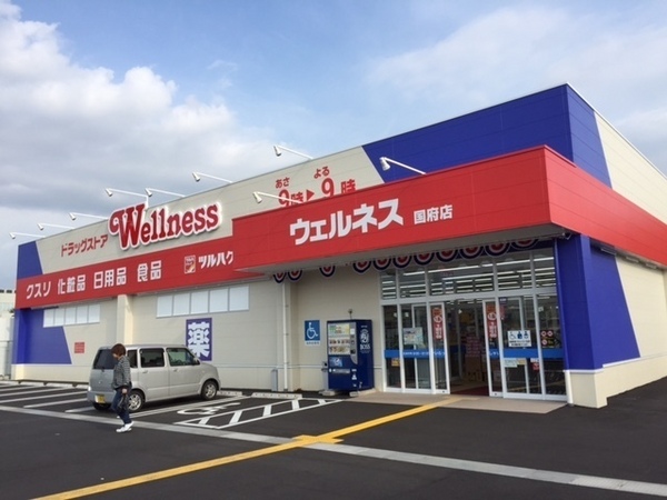 ハイツ万葉(ドラッグストアウェルネス国府店)