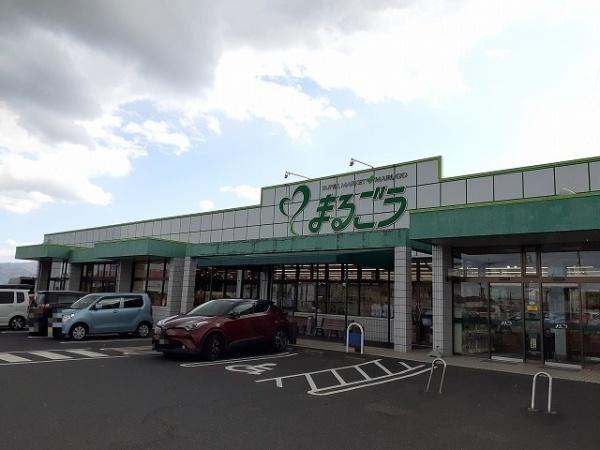 東伯郡湯梨浜町大字上浅津のアパート(まるごう羽合店)