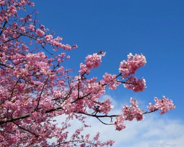 ウルマハウス(五井大橋付近)