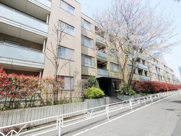 渋谷区鉢山町のマンション