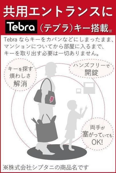 渋谷区渋谷１丁目のマンション