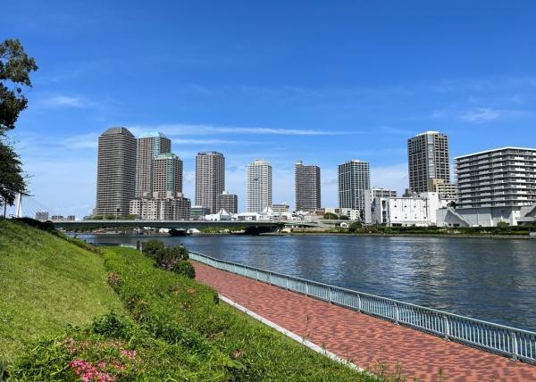 中央区明石町のマンション