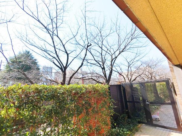 目黒区目黒１丁目のマンション
