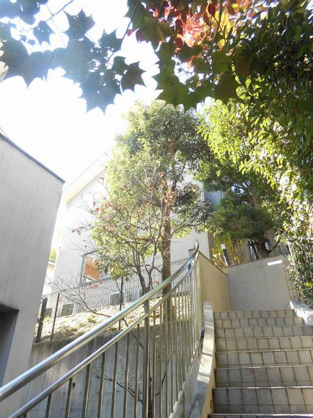 ヒルズ南平台　A棟