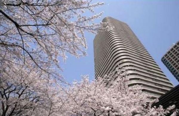 中央区佃１丁目のマンション